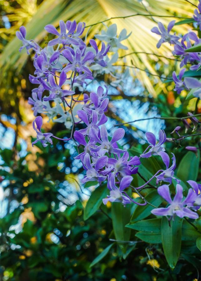 Plantation Inn ウェリガマ エクステリア 写真